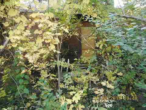 14859 Kentucky (4)_m.jpg